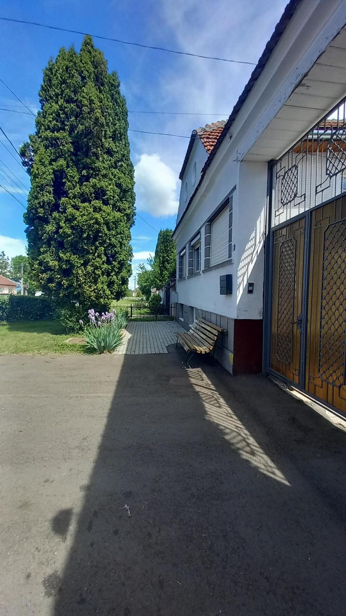 Pensiunea Magnolia Prejmer Exterior photo